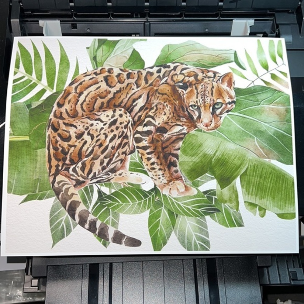 Watercolor Wall Art Wild Cat Ocelot Portrait Print Poster Unframed - Picture 11 of 17